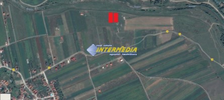 teren-intravilan-de-vanzare-605-mp-alba-micesti
